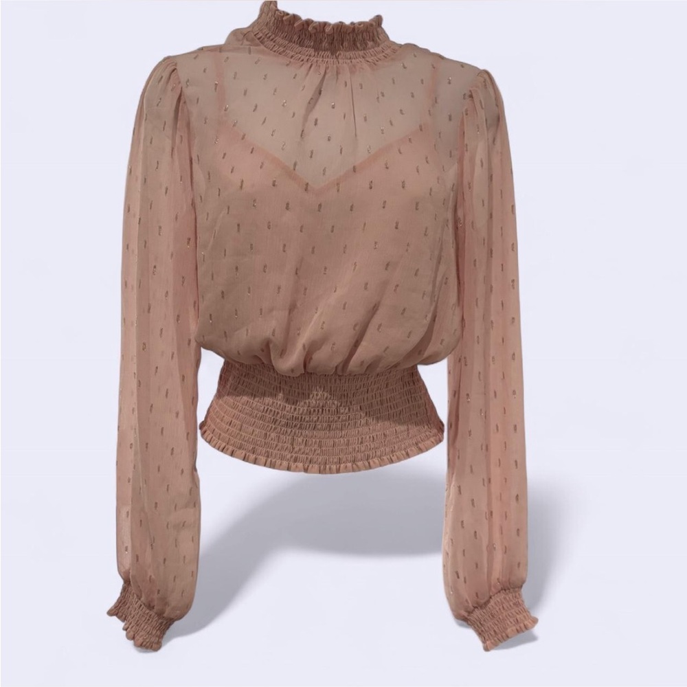 Express Sheer Pink Blouse